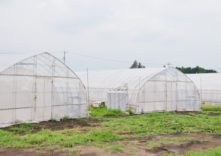 徹底したハウス管理