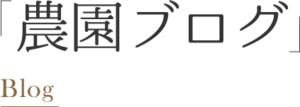 農園ブログ Blog
