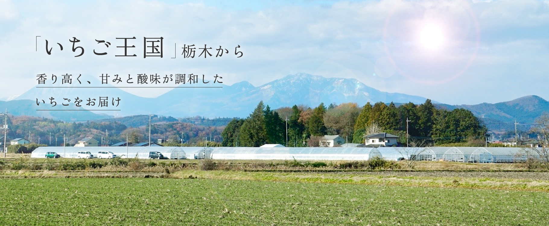 slider02 「いちご王国」栃木から 香り高く、甘みと酸味が調和したいちごをお届け